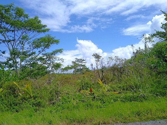 5th image of 6th Avenue Hialoa Lot 1198
