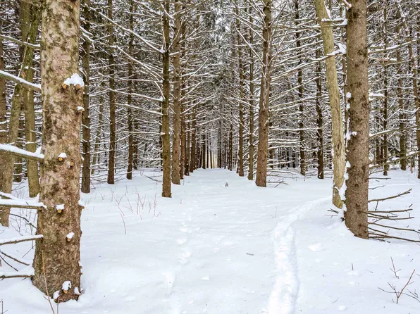 Highview Dr, Appleton, WI 54913