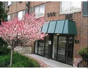 1st image of 900 W Fullerton Ave #P42