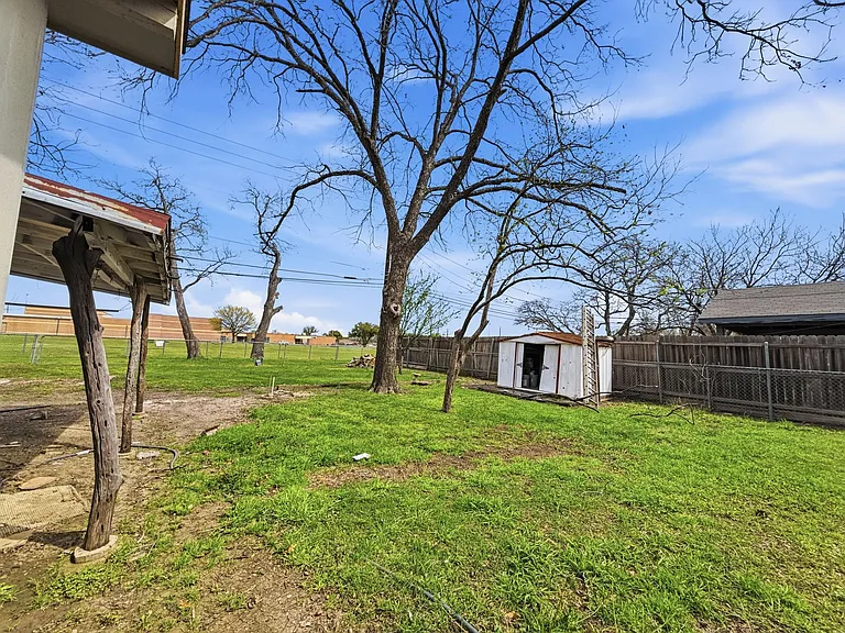 Backyard