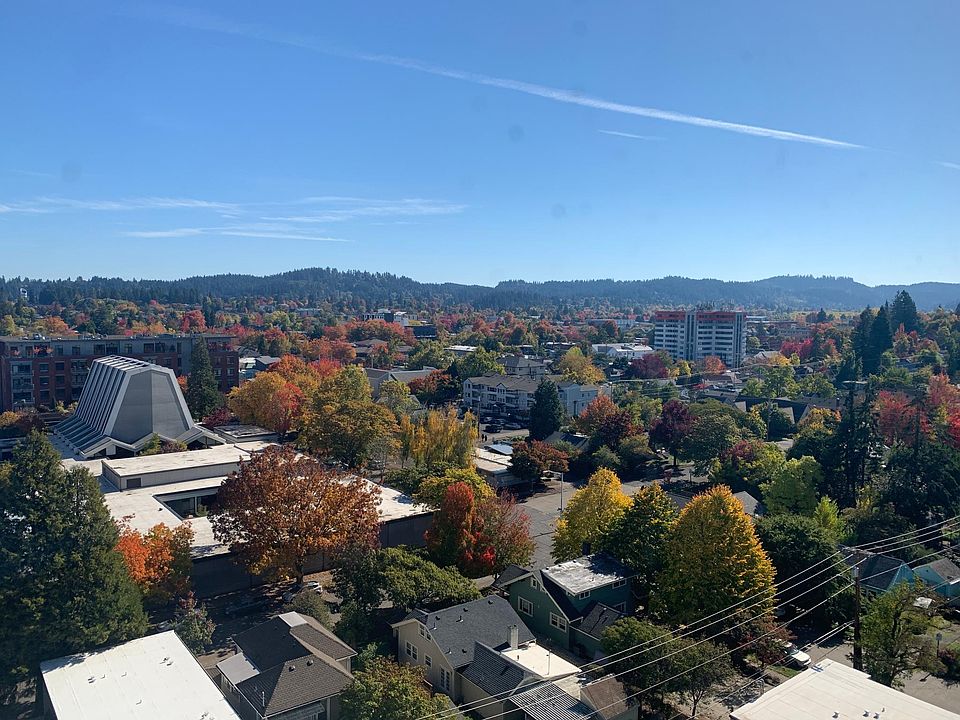 View 1