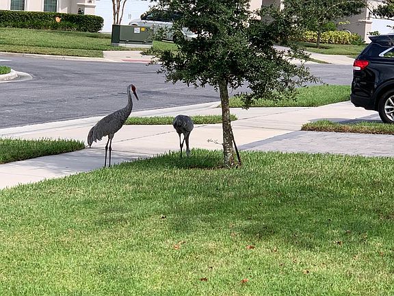 3rd image of 2300 Painter Ln