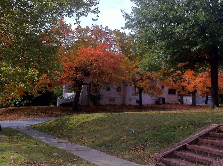 2nd image of 804 S Main St