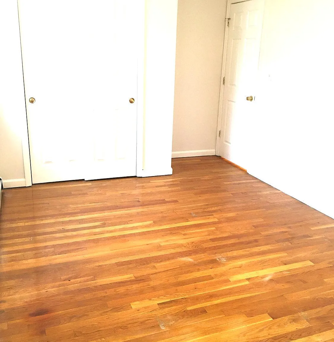 3 bed, 2.0 bath, 950 sqft, $2,800 — Photo 4
