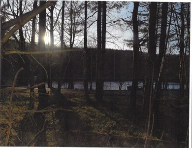 0 Maple Tree Rd, Stamford, NY, 12167