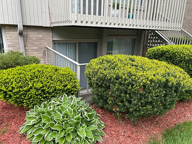 1 bed, 556 sqft, $1,450 — Photo 2
