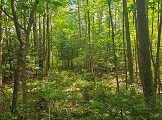 LOT 1 County Road 238, Deer River, MN 56636