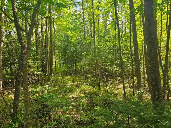 LOT 1 County Road 238, Deer River, MN 56636