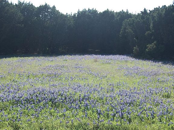 4th image of 3104 County Road 2009