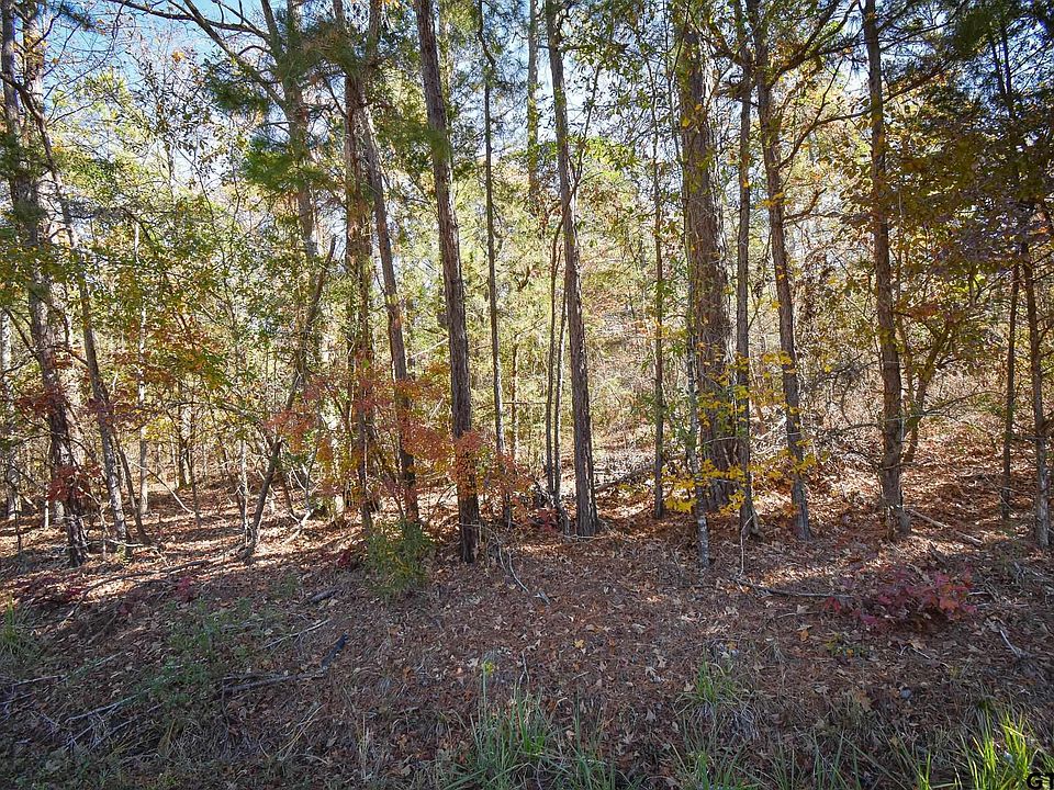 2nd image of Big Oak Bay Rd Tract 2