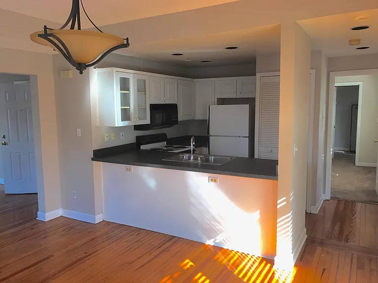 421 E Amelia St #B — Photo 4