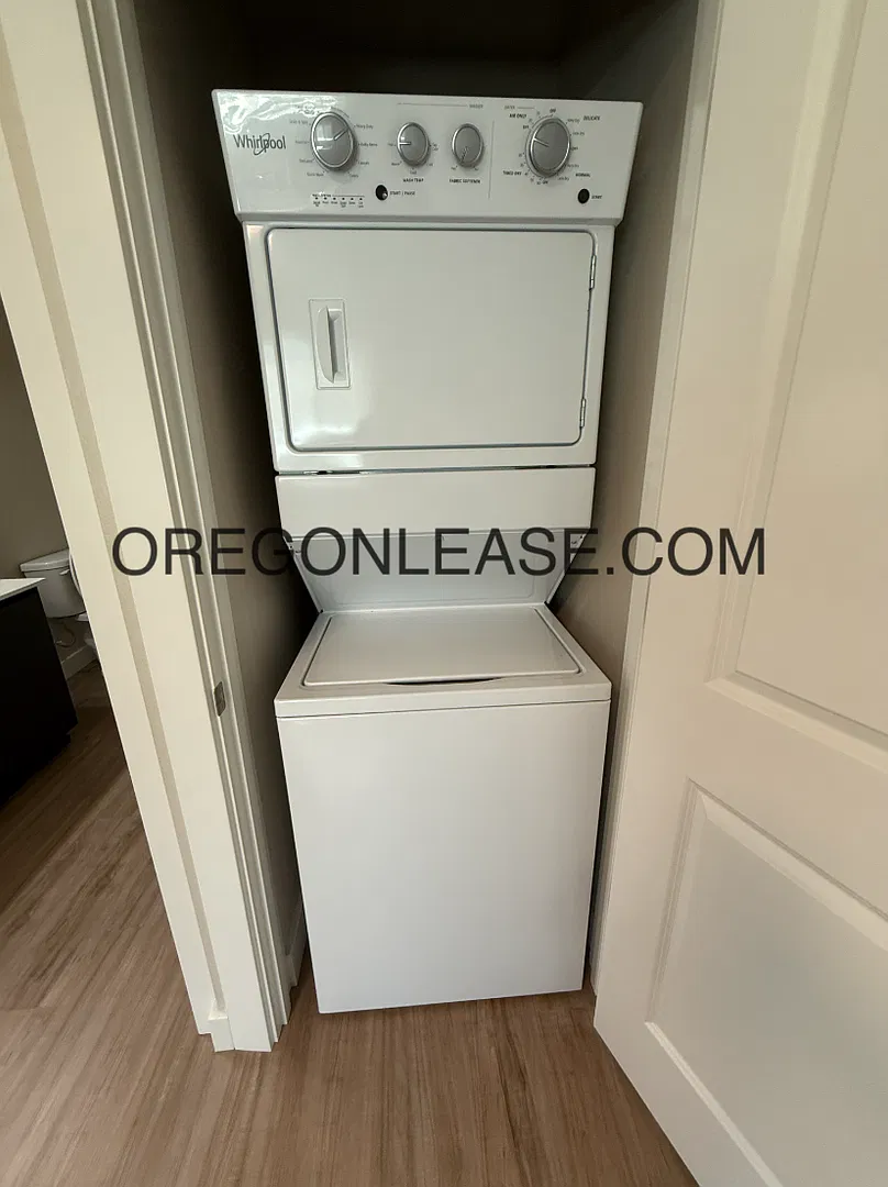 Newer 2-Bedroom Apartment — Photo 4