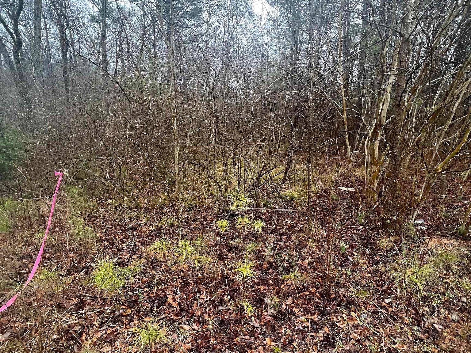 6685 Lou Loop 0, Bessemer, AL 35022 Zillow