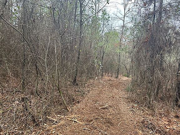 Follow trail south to rear