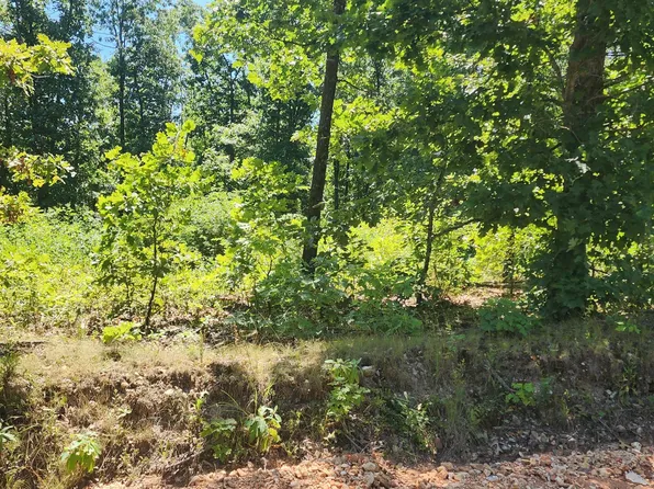 000 Farm Road 1042, Exeter, MO 65647