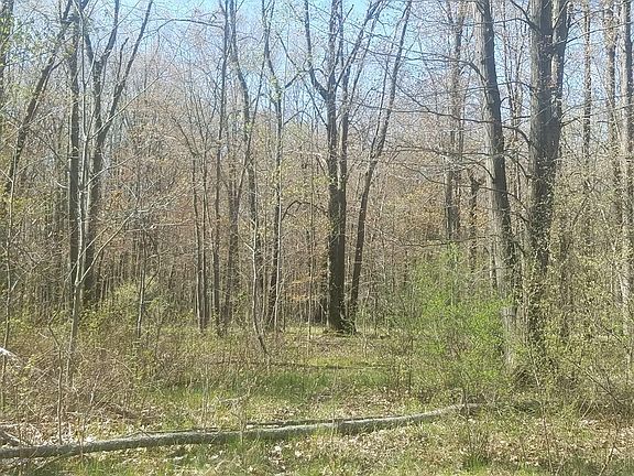 3rd image of 1206 Water Tower Ln