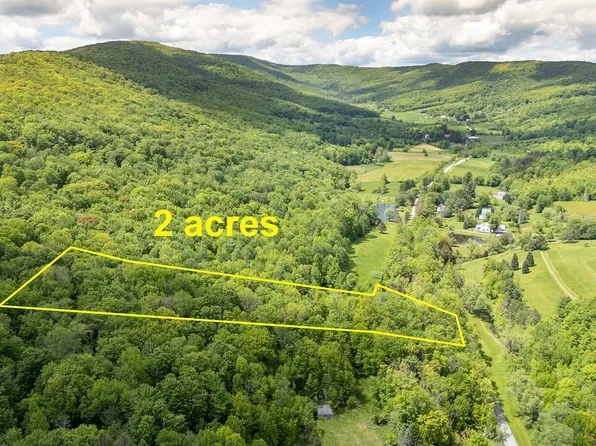 1361 Weaver Hollow Rd Lot 4, Margaretville, NY 12455
