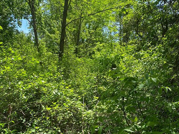 5th image of 157 Debbie Drive