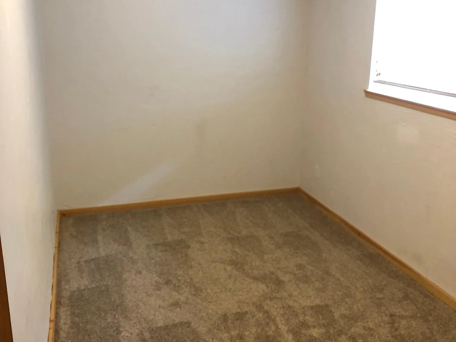 2 bed, 800 sqft, $1,500 — Photo 4