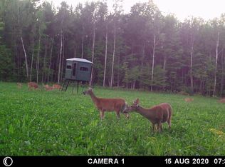 159590 Duberstein Rd, Mosinee, WI 54455