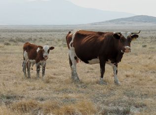 Pigion Mountain Loop, Lucin, UT 84329