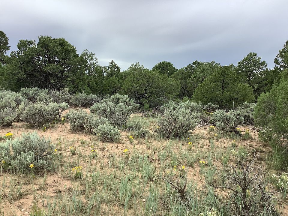 County Road 77, Truchas, NM 87578 MLS 202233205 Zillow