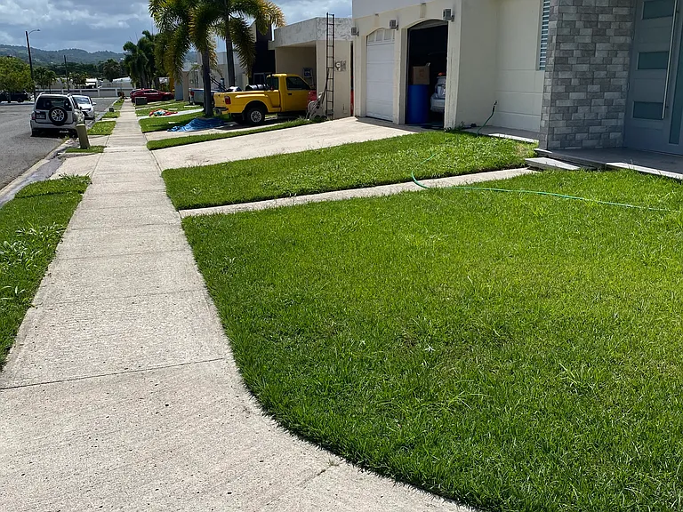G8 Paseo La Ceiba — Photo 3
