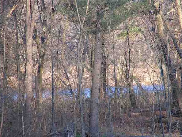 2nd image of 49th St