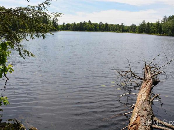 0 H Rd #58, Shingleton, MI 49884