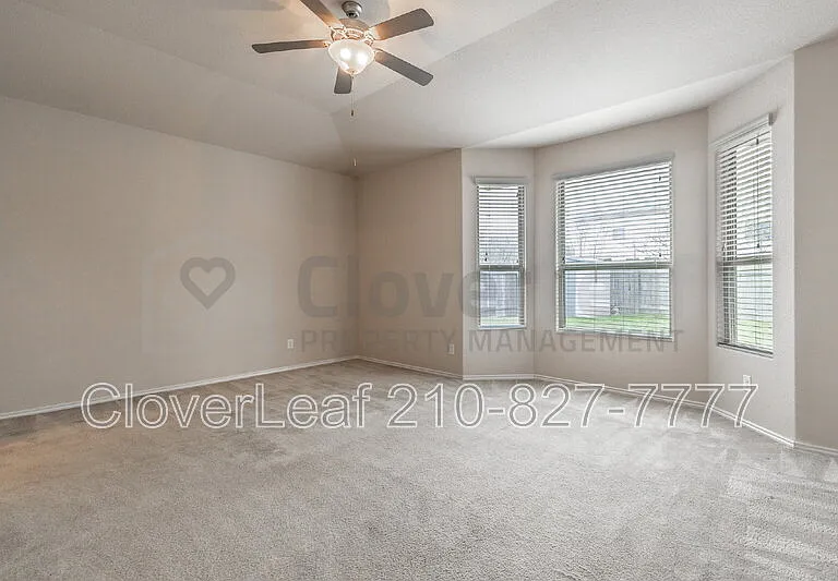 3734 Ox Eye Daisy — Photo 27