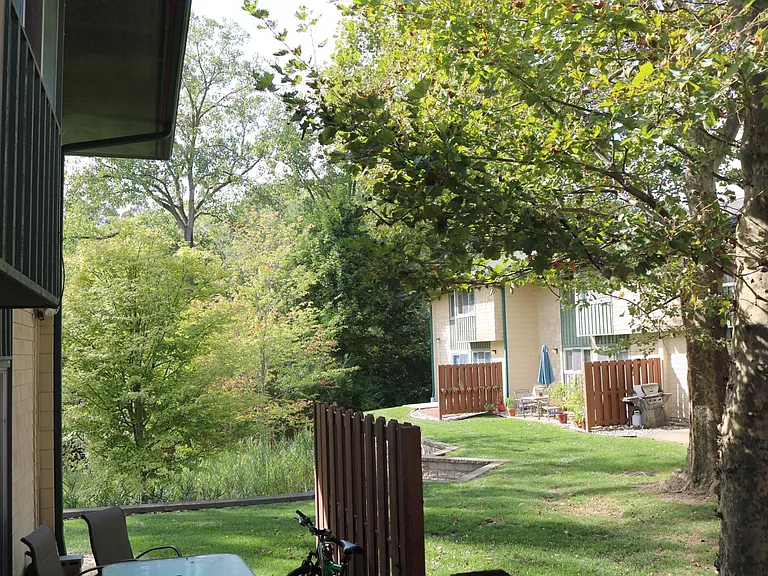 View from back patio of inner shared courtyard. There are picnic tables that can be used to have meals outside in the summer!