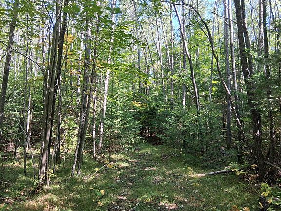 3rd image of 12 National Trail Star Lake Rd