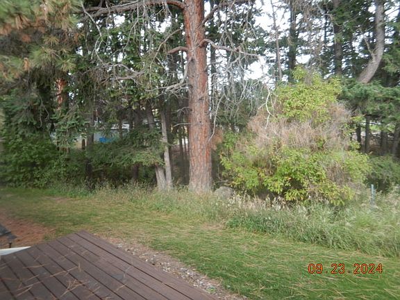 4th image of 315 Ponderosa St
