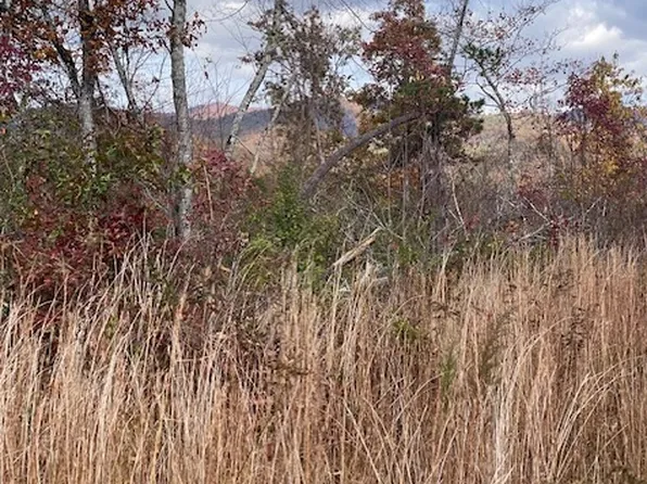 Patton Dr, Hayesville, NC 28904