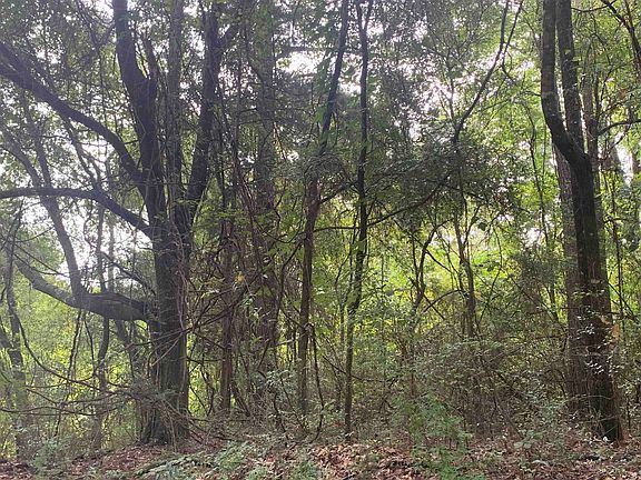5th image of 78 Acres Hwy #55