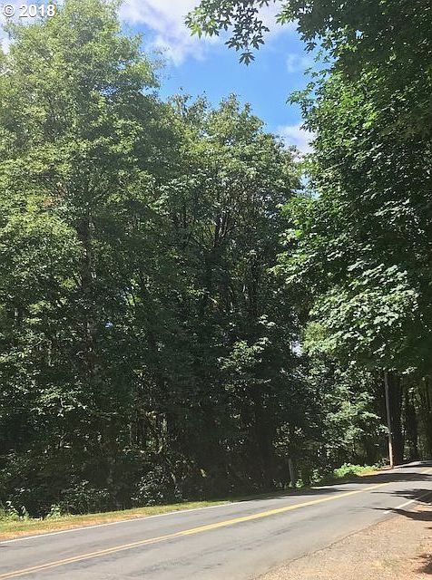 2nd image of Lower Nehalem Rd