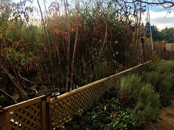 View of the greenbelt