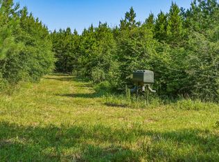 0 Harry Priddy Rd, Americus, GA 31719