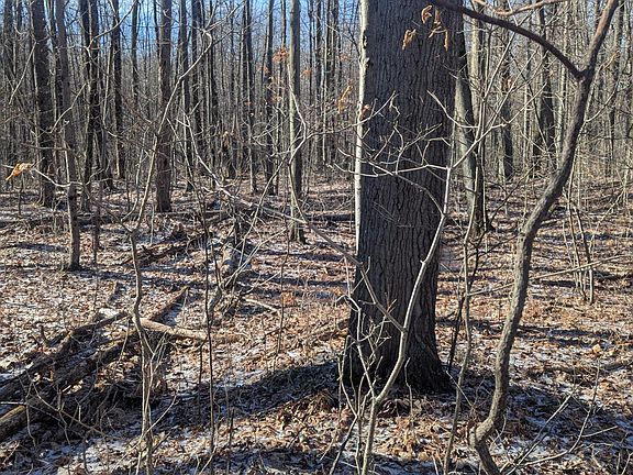 3rd image of 0 East Rd