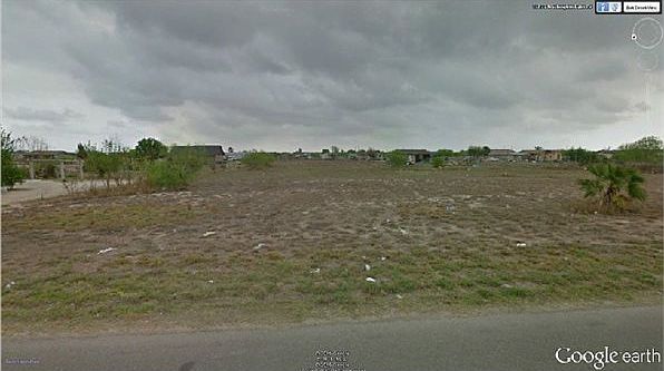 1st image of Washington Palm Dr
