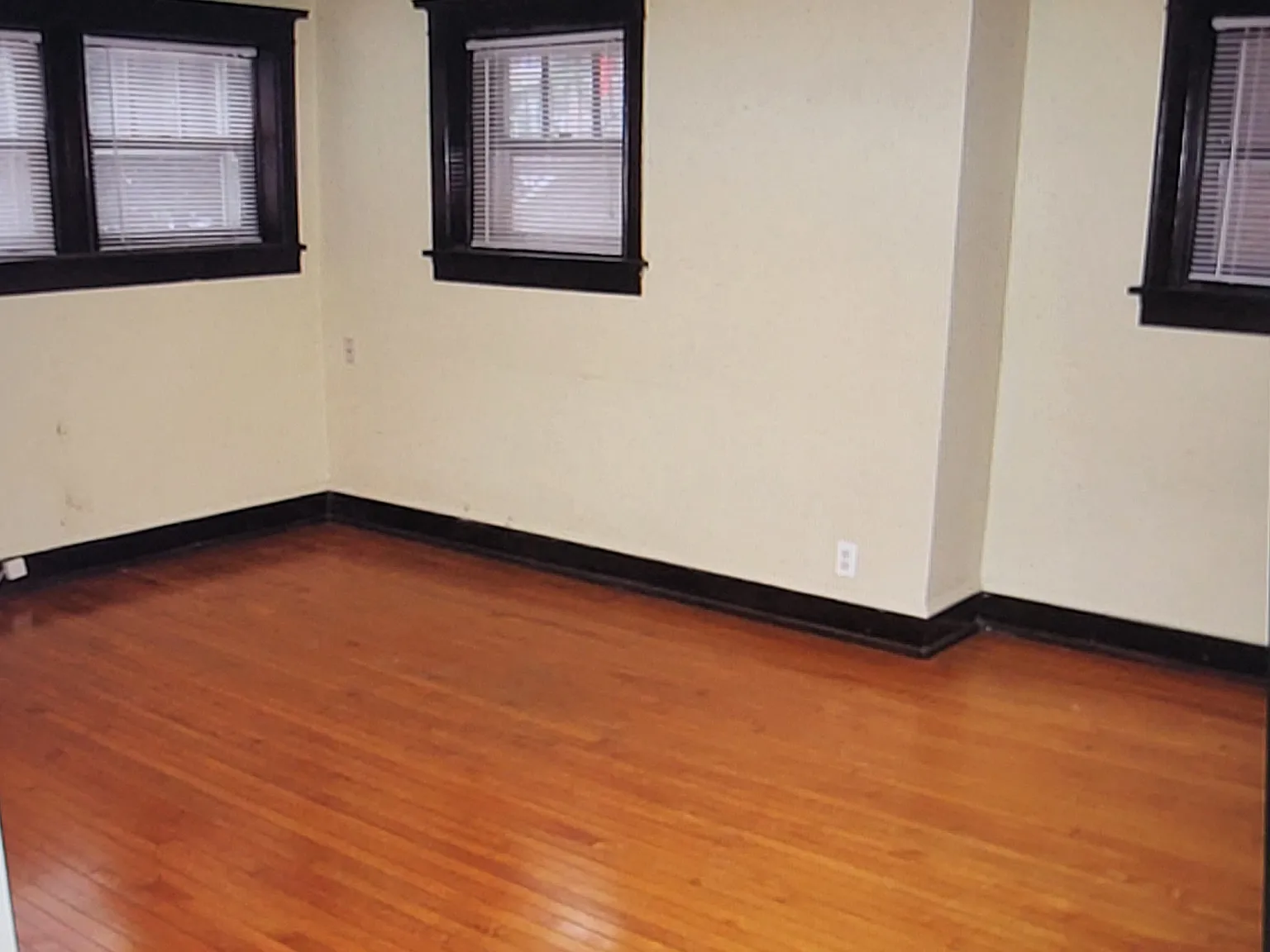 1 bed, 800 sqft, $1,320 — Photo 4
