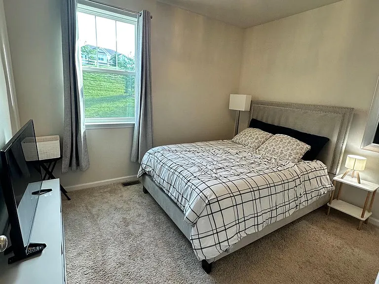 173 Brooklyn Mill Pl — Photo 11