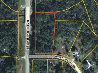 2843 Witch Hazel Rd, Middleburg, FL 32068