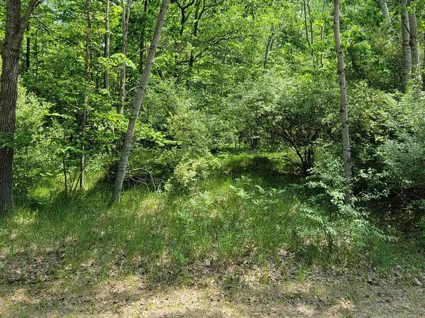 1144 Queensway Dr, Weidman, MI 48893