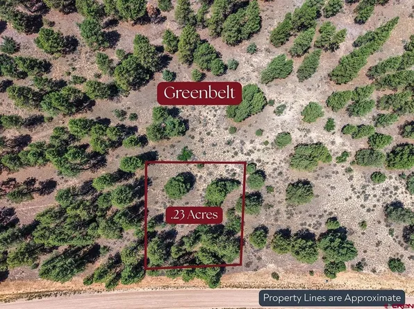 1445 Trails Boulevard, Pagosa Springs, CO 81147