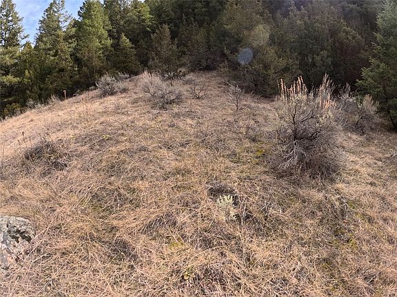 5th image of Nhn Pole Gulch Rd