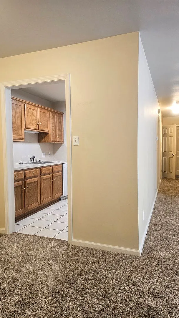 5555 Springvale Apartments — Photo 4