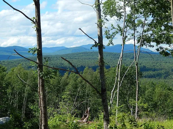 0 White Mountain Off Highway Map 217 Lot 45, Tamworth, NH 03886