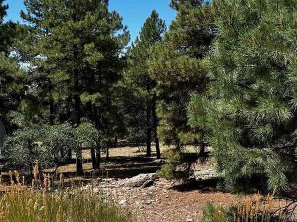 124 Woodridge Circle, Pagosa Springs, CO 81147
