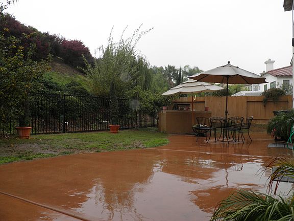 Back yard